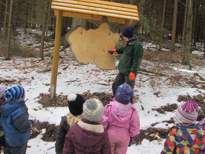 Bildergalerie - Der Weg vom Holz bis zum Papier